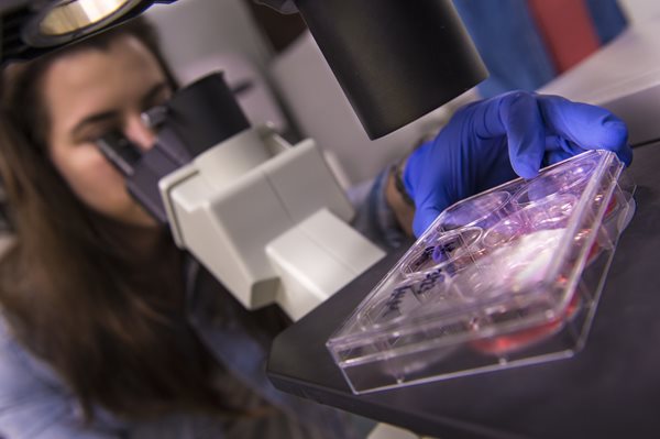 Student looking into a microscope